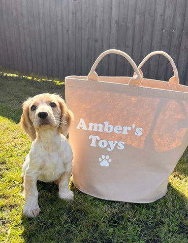 Personalised Felt Dog Toy Storage