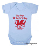 First St David's Day Personalised Babygrow